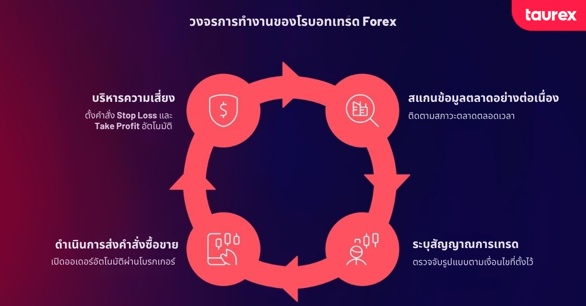 วงจรการทำงานของโรบอตเทรด Forex