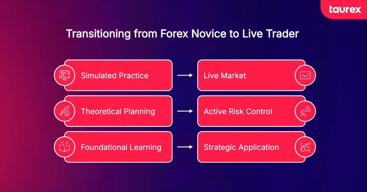 forex beginner to live trader