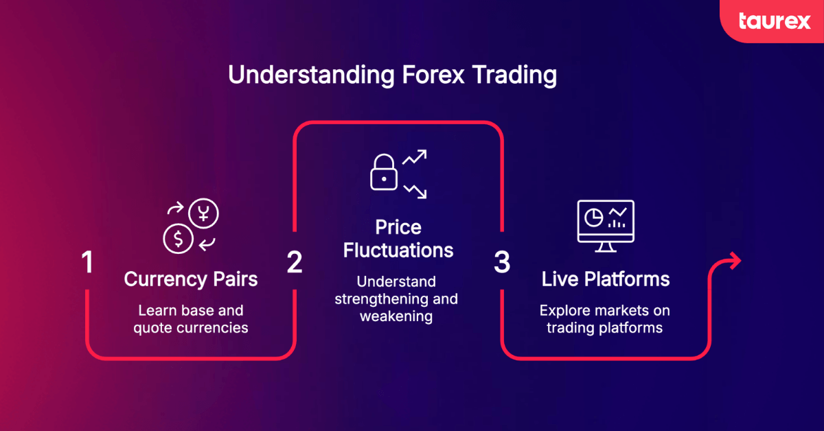understanding forex trading for beginners