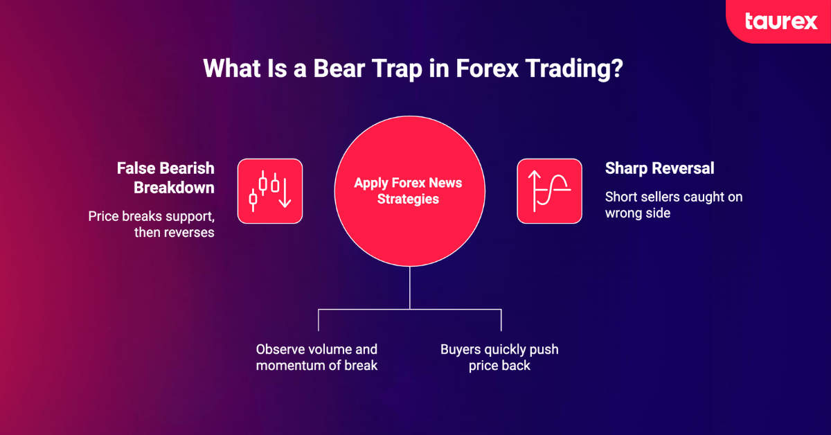 what is bear trap trading in forex