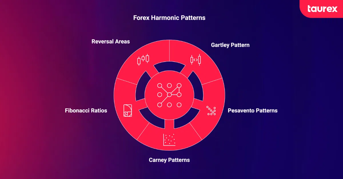 forex harmonic patterns infographic